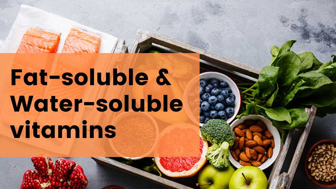 fat soluble and water soluble vitamins