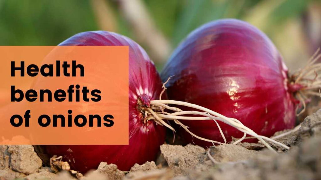 health benefits of onions