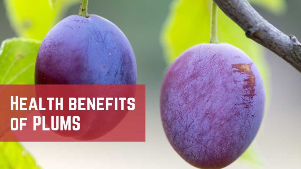 health benefits of plums