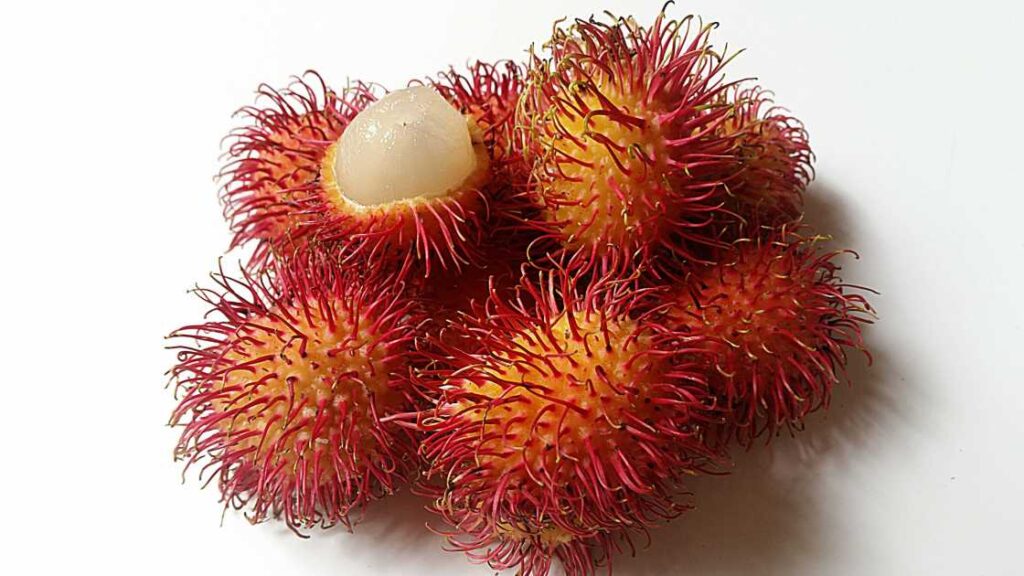 rambutan fruits for diabetics