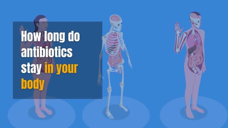 how long do antibiotics stay in the body
