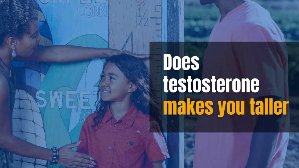 does testosterone make you taller