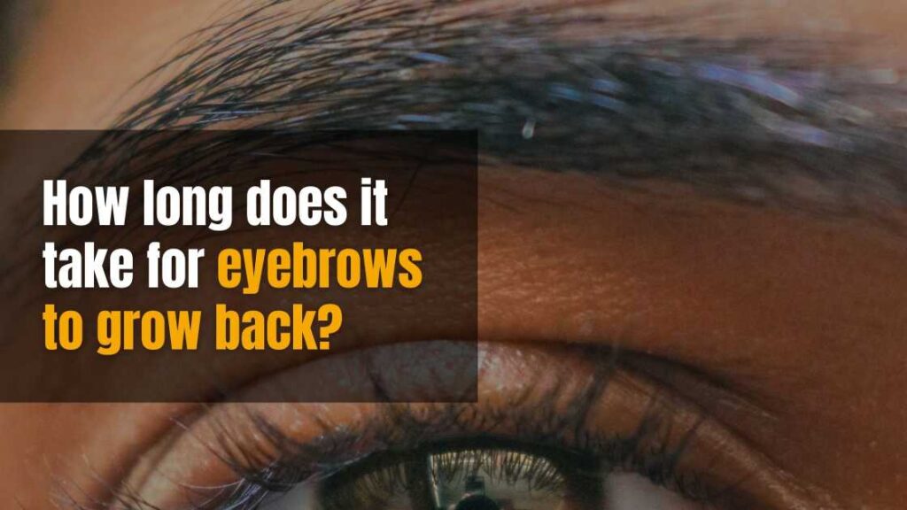 How long does it take for eyebrows to grow back