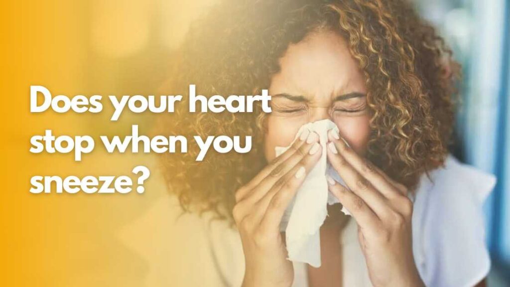 Does your heart stop when you sneeze