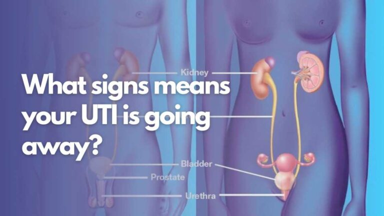 What signs means your UTI is going away