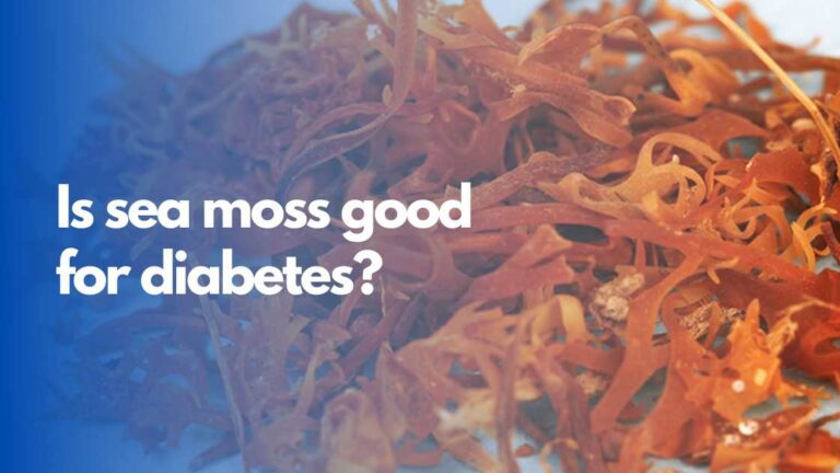 is sea moss good for diabetes