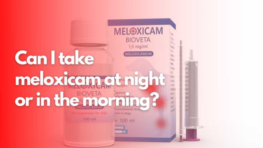 Can I take meloxicam at night or in the morning