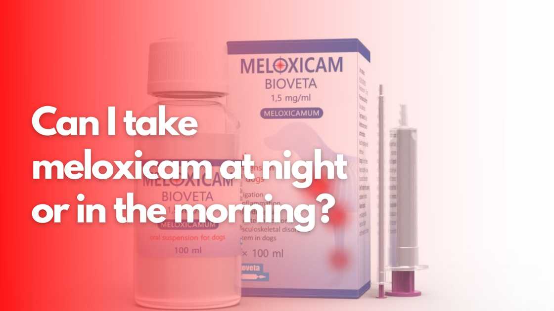 Can I take meloxicam at night or in the morning