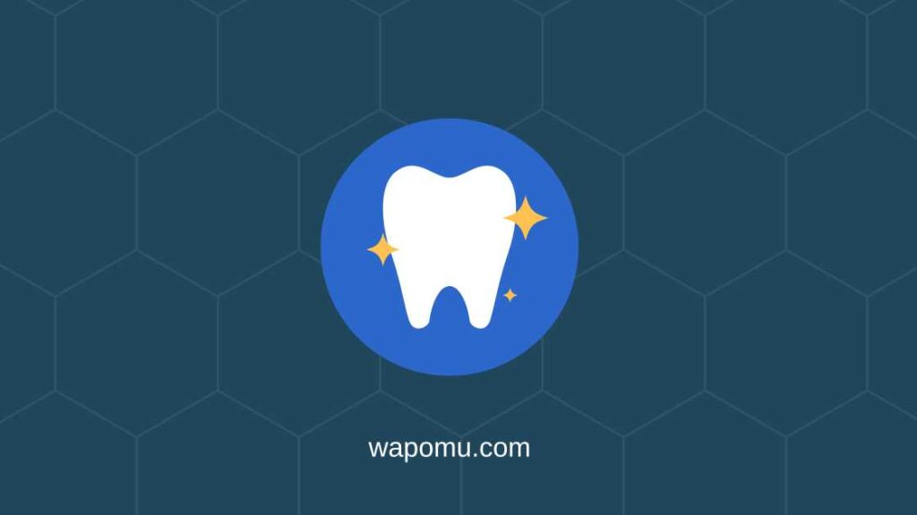 How many teeth do humans have? - Wapomu Health & Wellness